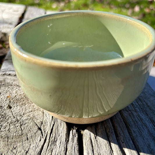 Sage Pine Espresso and Bowl Set