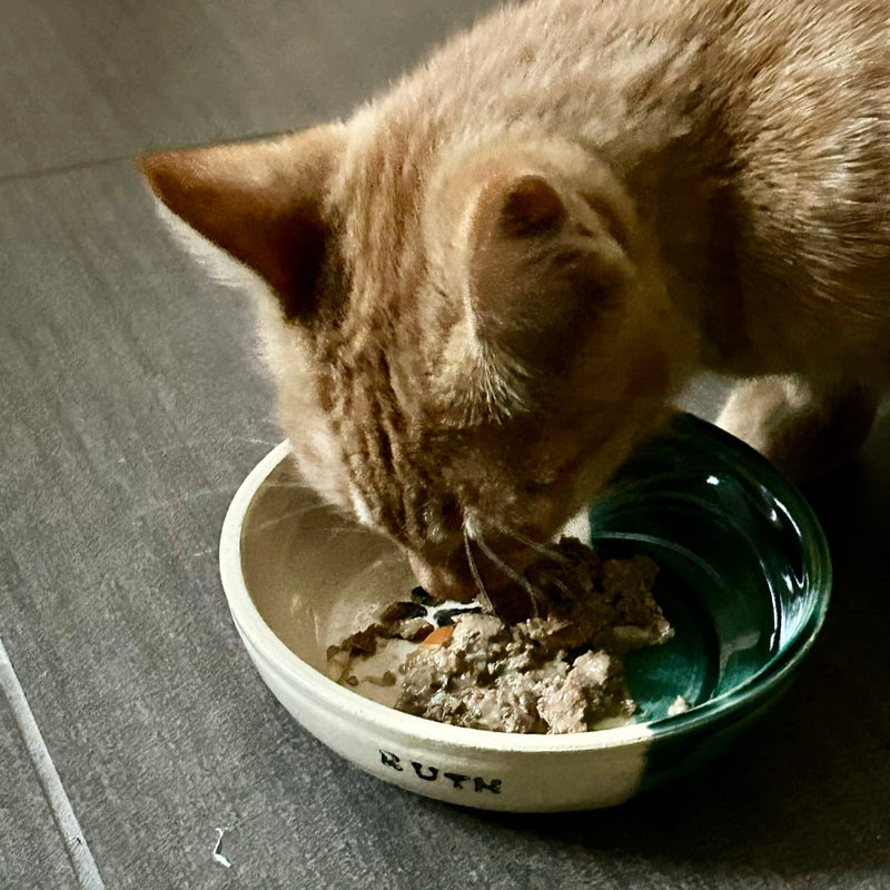 Cat eating from a bowl named 'Ruth' on a tiled floor